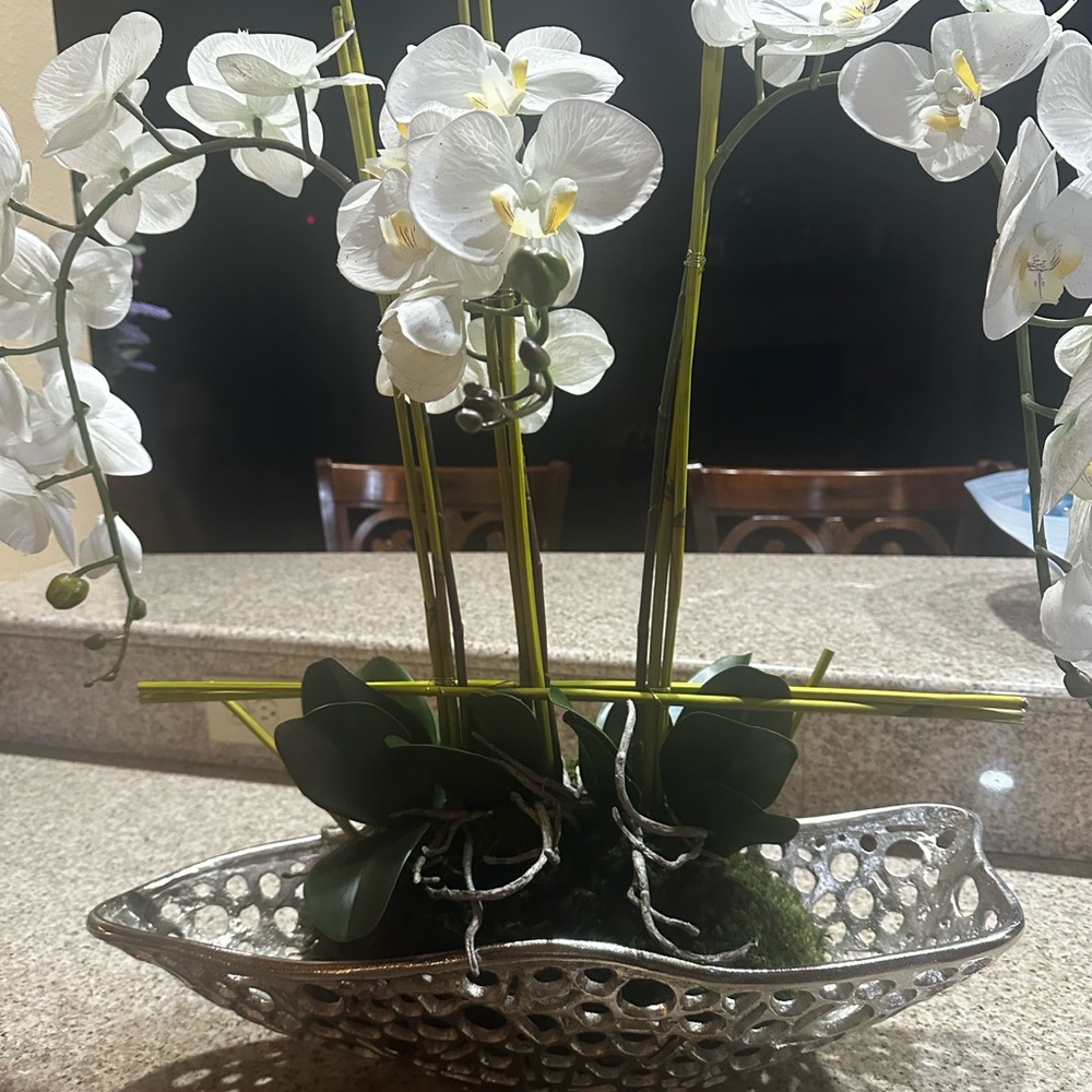 Chic White Orchid Display in Textured Silver Planter